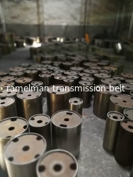 Ningbo Ramelman Transmission Technology Co., Ltd.