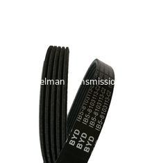 الحزام متعدد الأضلاع oem 1004484 / 6PK1175 حزام نقل الطاقة لـ HONDA FORD AUDI الحزام متعدد الأضلاع
