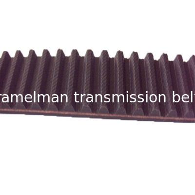 حزام التوقيت المطاطي OEM 7700663544/148MR25/90108360/101MR17 حزام نقل الطاقة قطع غيار سيارة أصلية
