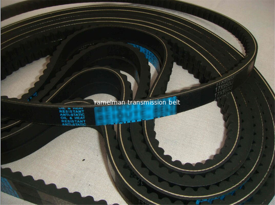 قطع غيار السيارات حزمة مروحة حزمة vee OEM 9091602113/1192001M01/AVX13X800/MB553430 COGGED V BELT حزمة راميلمان