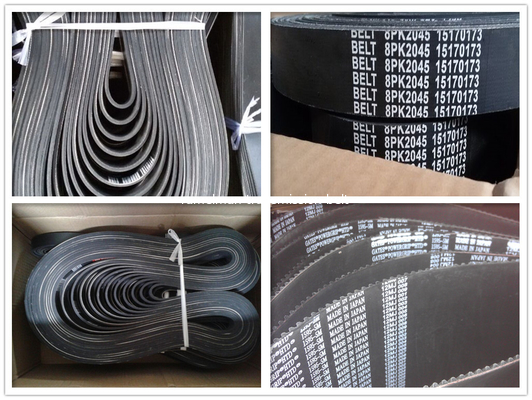 Epdm multi rib belt oem 500341808/12PK1814 for IVECO power transmission belt engine belt fan belt  ramelman belts