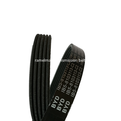 حزام مضلع متعدد EPDM OEM 500341810/12PK1830 لـ IVECO حزام نقل الحركة حزام المحرك حزام المروحة أحزمة راملان