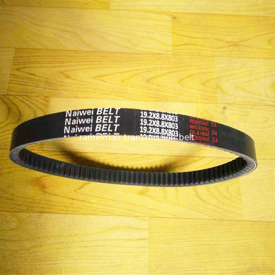 قطع غيار السيارات حزمة مروحة حزمة vee OEM 9091602113/1192001M01/AVX13X800/MB553430 COGGED V BELT حزمة راميلمان